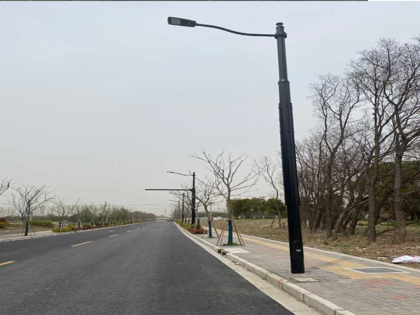 临洮县上海综合杆 太阳能路灯工程